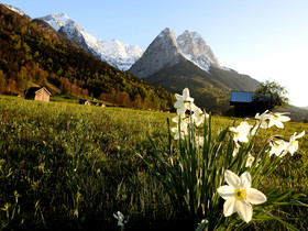 Hotel am Badersee