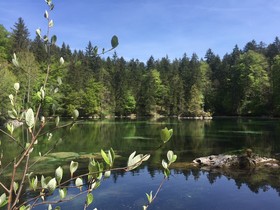 Hotel am Badersee
