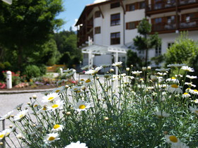Hotel am Badersee