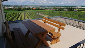 Weinbergshof Rickel