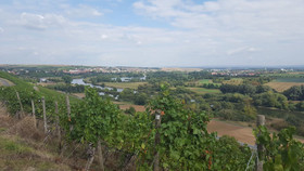 Weinbergshof Rickel