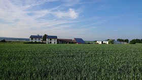 Weinbergshof Rickel