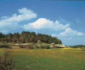 Reif Gasthof