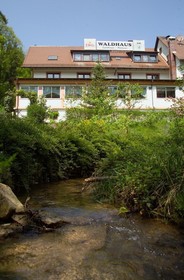 Waldhaus