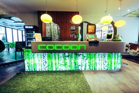 Cocoon Stachus