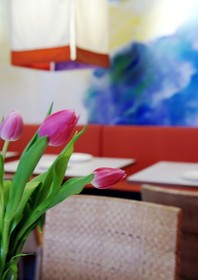 Creatif Hotel Elephant