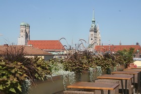 Deutsche Eiche
