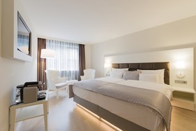Hotel Europa