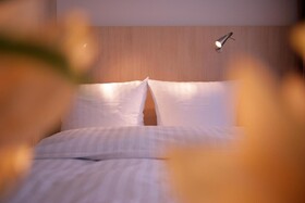 Europe Hotel Senator