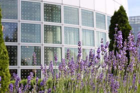 Hilton Munich Airport