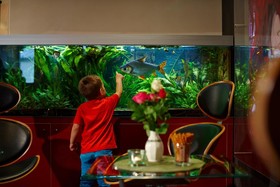 Hotel Concorde