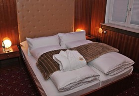 Hotel du Train & Der Tannenbaum
