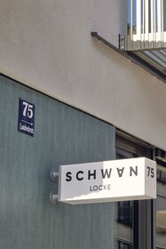 Schwan Locke