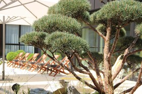 Ramada by Wyndham Nuernberg Parkhotel