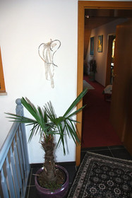 Ambiente Solutions Apartments & Ferienwohnungen