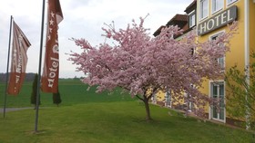 Rhöner Land