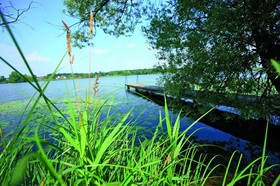 Seeblick