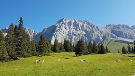 Villa Alpenpanorama