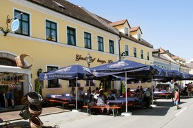 Bayerischer Löwe