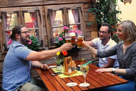Bayerischer Löwe