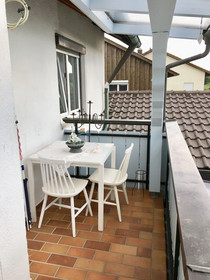 Sonnenhof Ferienwohnungen