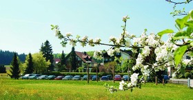 Hotel Lindenhof