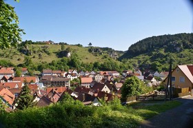 Schwan