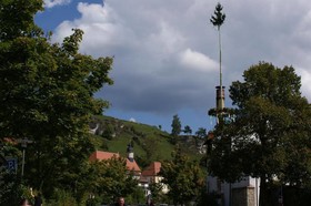 Schwan