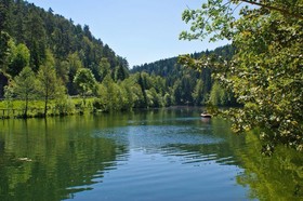 Schwan