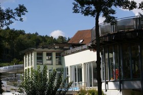 Schwan