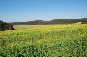 Hotel Gasthof Sixt