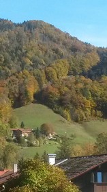 Rosenhof
