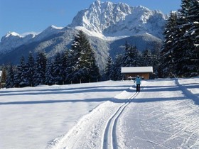 Alpenhof