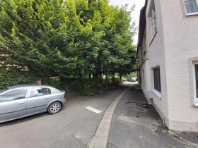 Schwarzer Adler