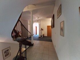 Schwarzer Adler