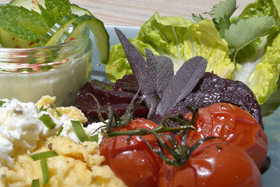 Apfelstern Bed & Breakfast