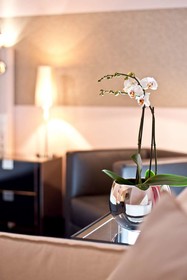 Best Western Premier Hotel Rebstock