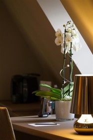 Best Western Premier Hotel Rebstock