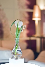 Best Western Premier Hotel Rebstock