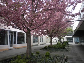 Lindleinsmühle