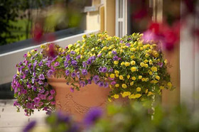 Glasl´s Landhotel