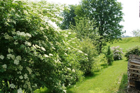 Privatpension Bergschütz