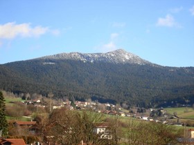 Hotel Dimpfl - Stadl