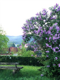 Land-gut-Hotel Berghof