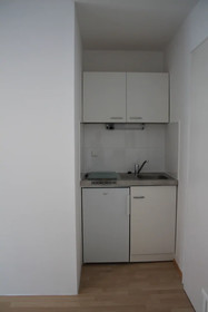Apartment Steinkirchner