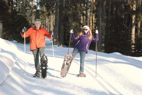 Pension Heidi Zwiesel