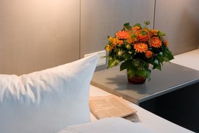 Limehome Berlin Luise Henriette Strasse