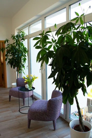 Boutique Hotel Fährhaus
