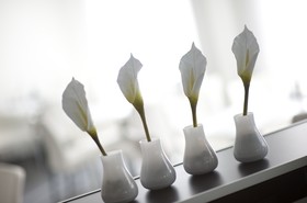 Good Morning Berlin City West