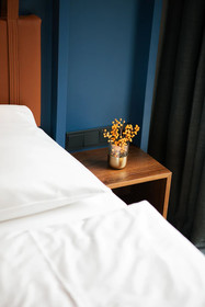 Downtown Apartments Mitte-Wedding